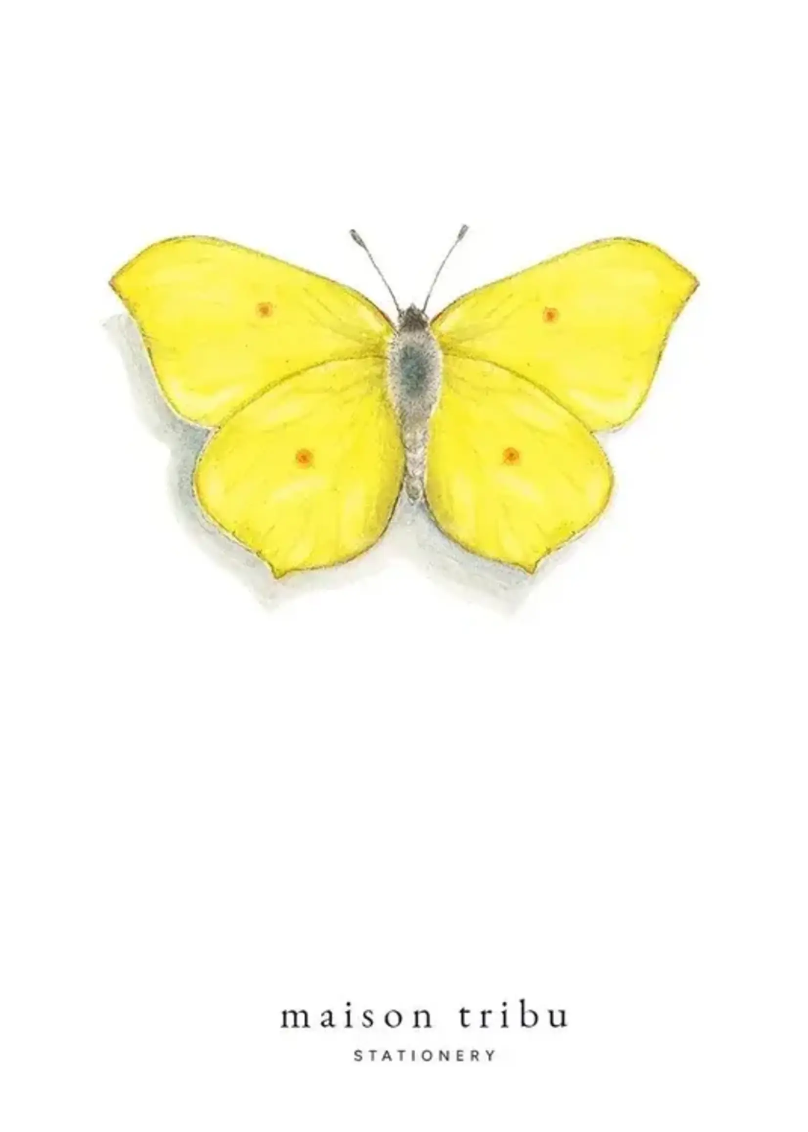 maison tribu Wenskaart Art All Season Brighter Days Are Coming