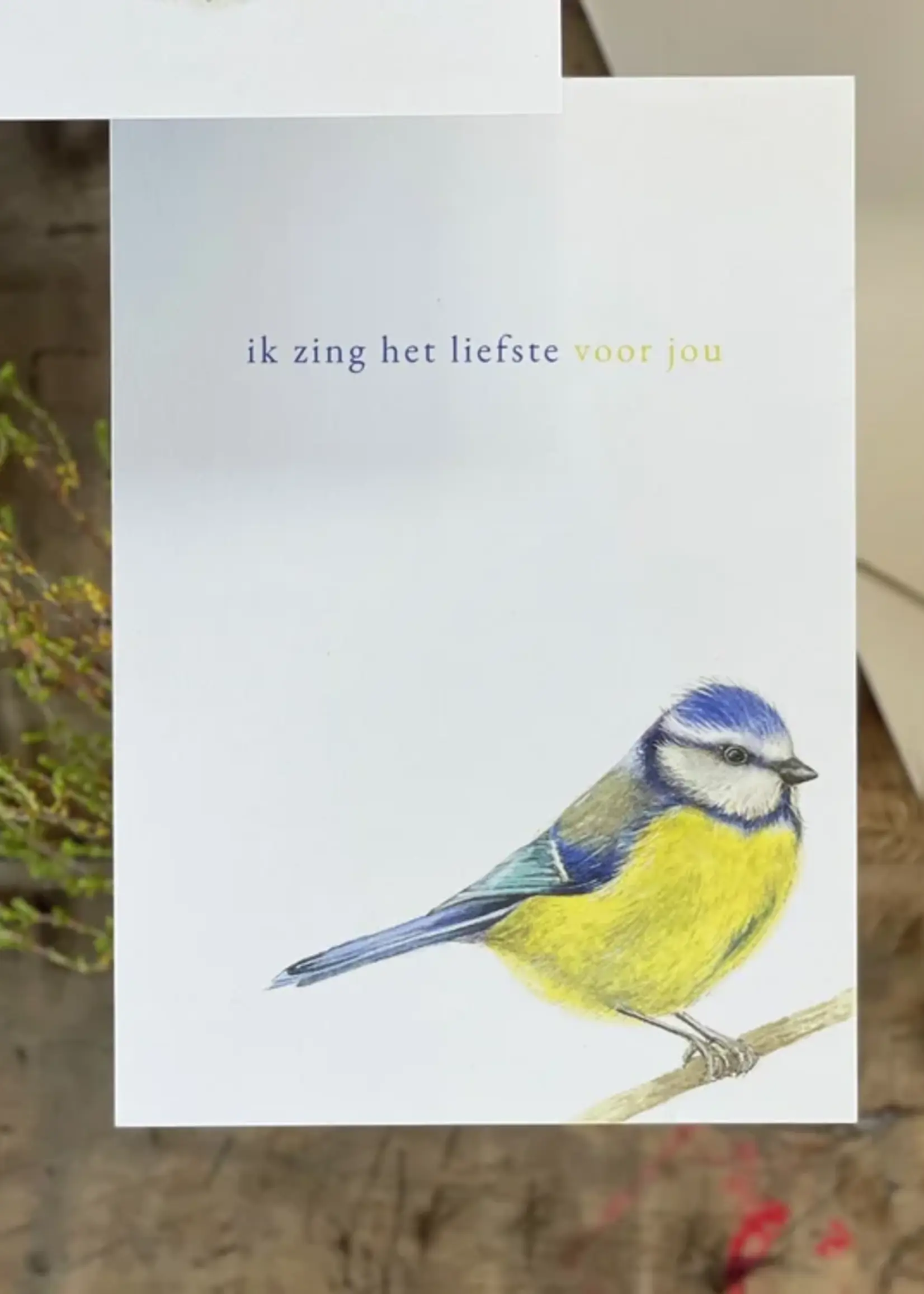 maison tribu Wenskaart Art All Season Ik Zing Het Liefste Voor You