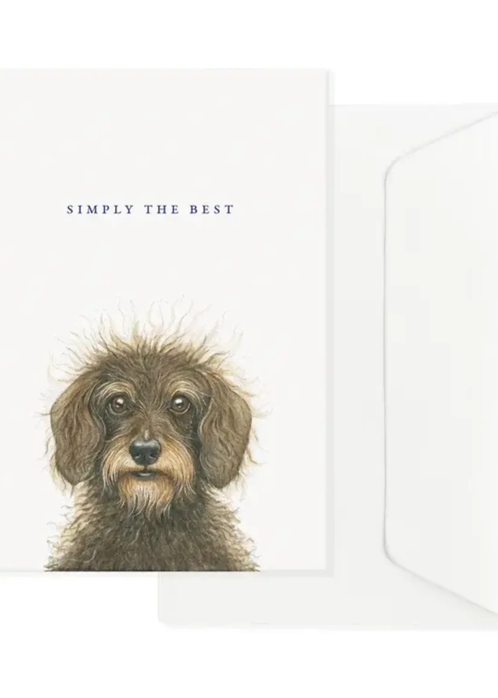 maison tribu Wenskaart Art All Season Loving Scruffy Dachshund