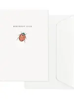 maison tribu Wenskaart Art All Season Birthday Ladybird Luck