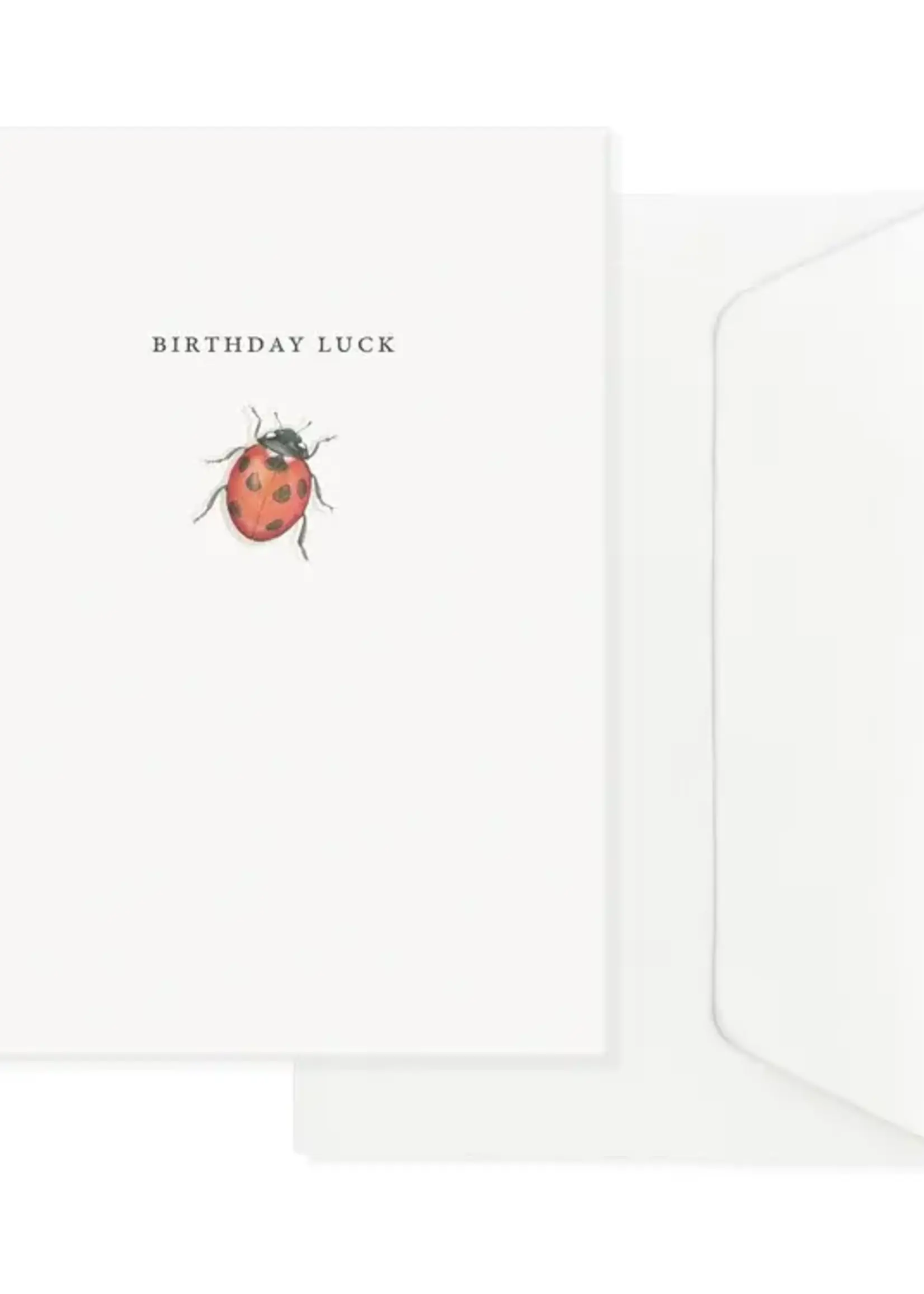 maison tribu Wenskaart Art All Season Birthday Ladybird Luck