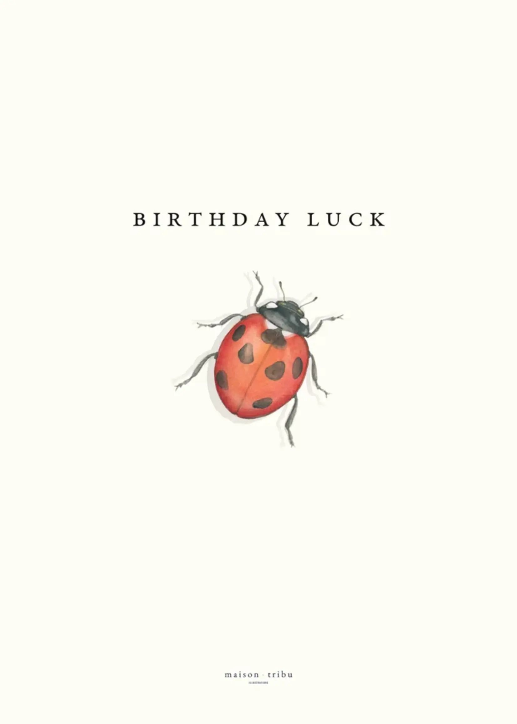 maison tribu Wenskaart Art All Season Birthday Ladybird Luck