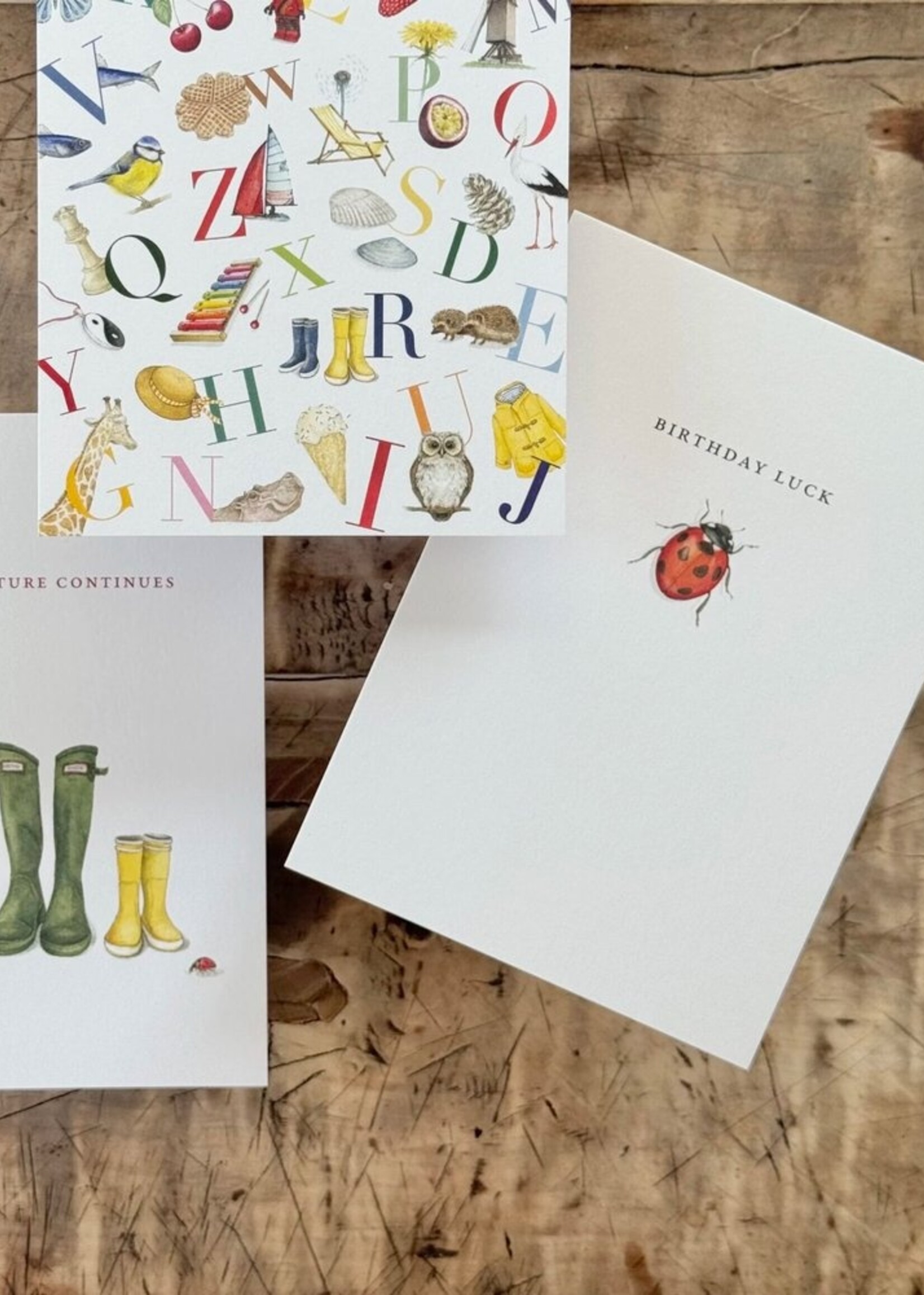 maison tribu Wenskaart Art All Season Birthday Ladybird Luck