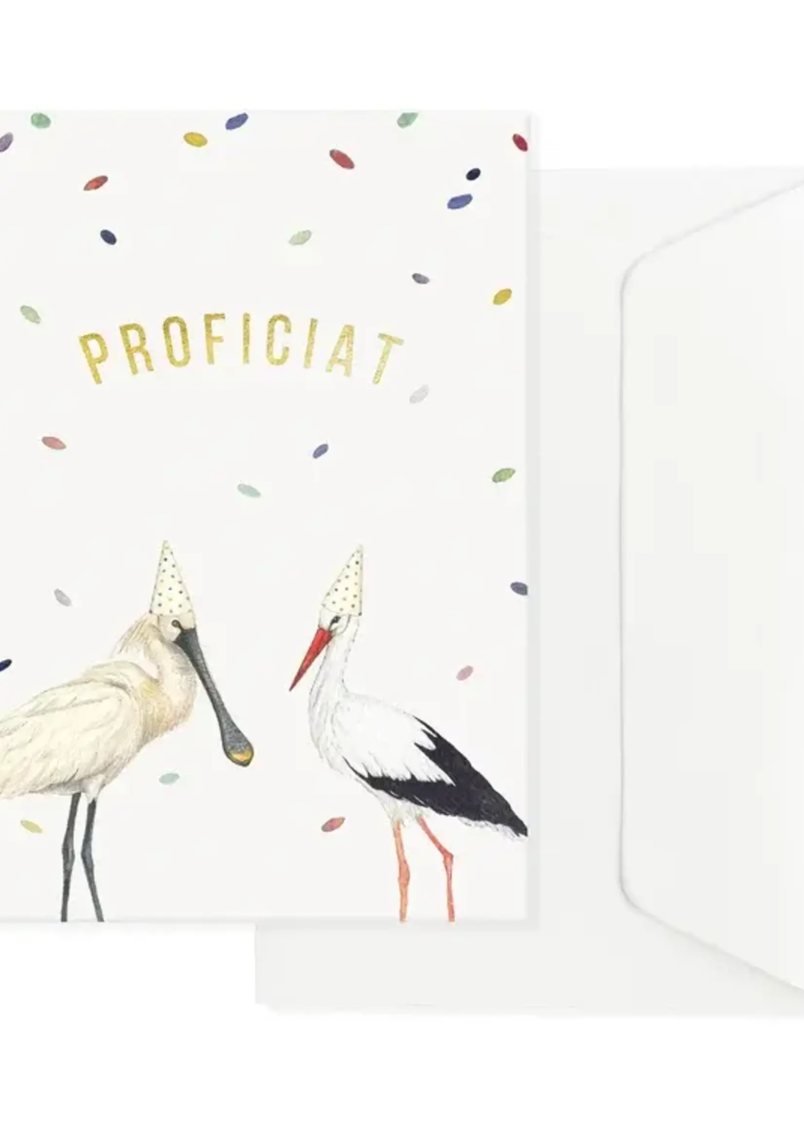 maison tribu Wenskaart Art All Season Stork & Spoonbill Fun