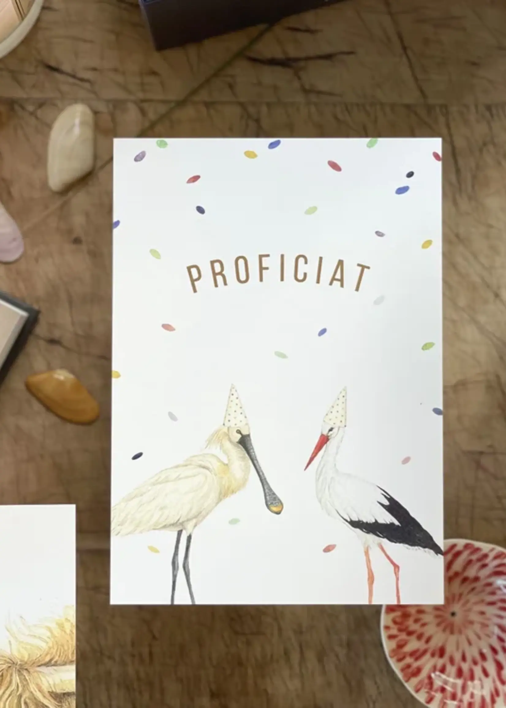 maison tribu Wenskaart Art All Season Stork & Spoonbill Fun