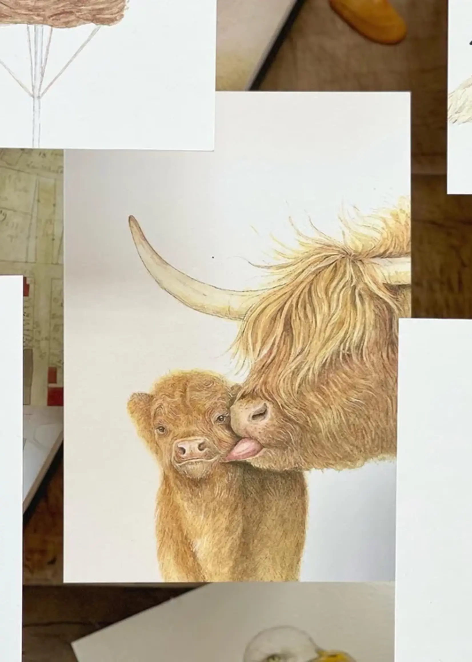 maison tribu Wenskaart Art All Season Smooching Highlander Cows