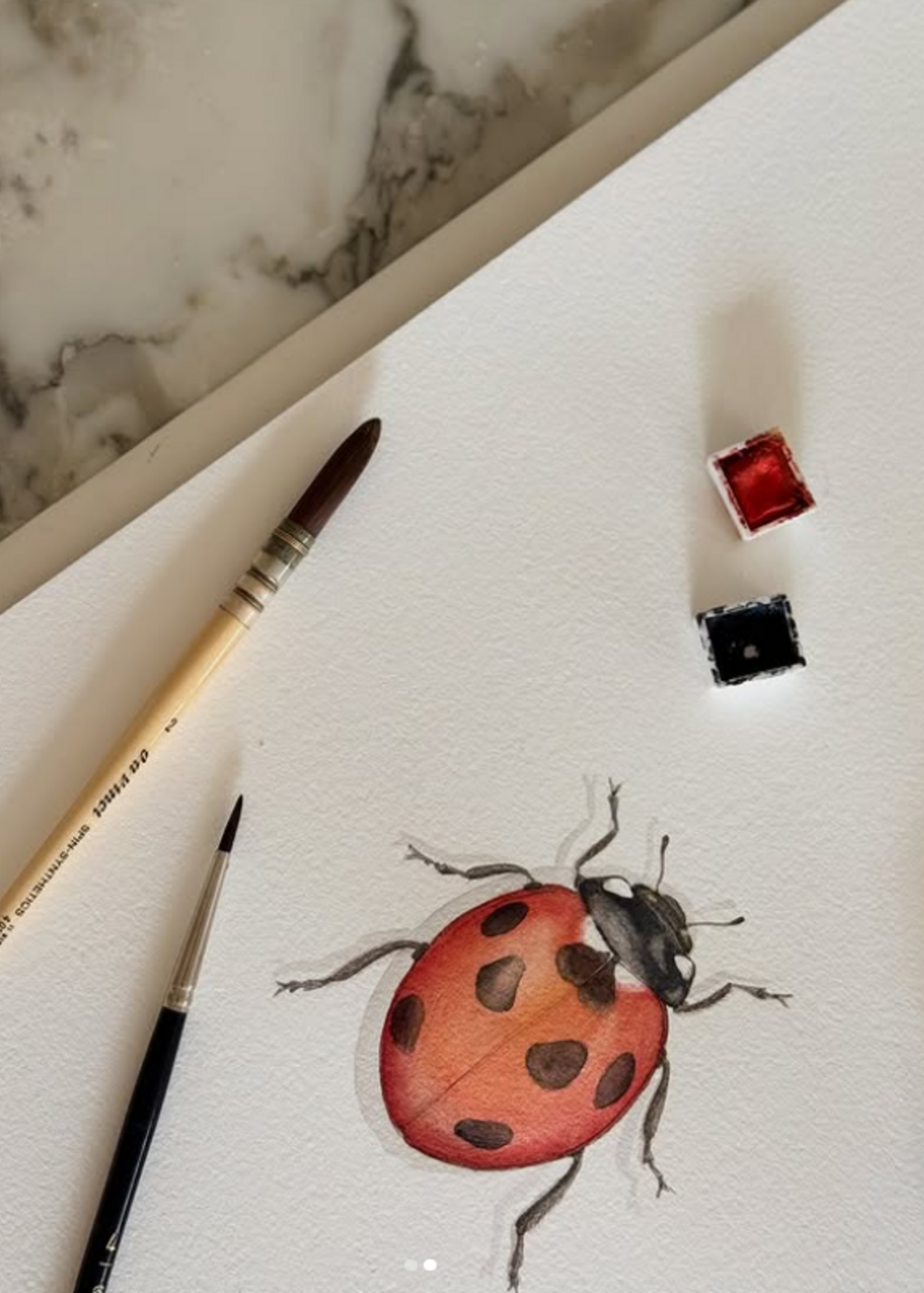 Maison Tribu Wenskaart Art All Season Birthday Ladybird Luck
