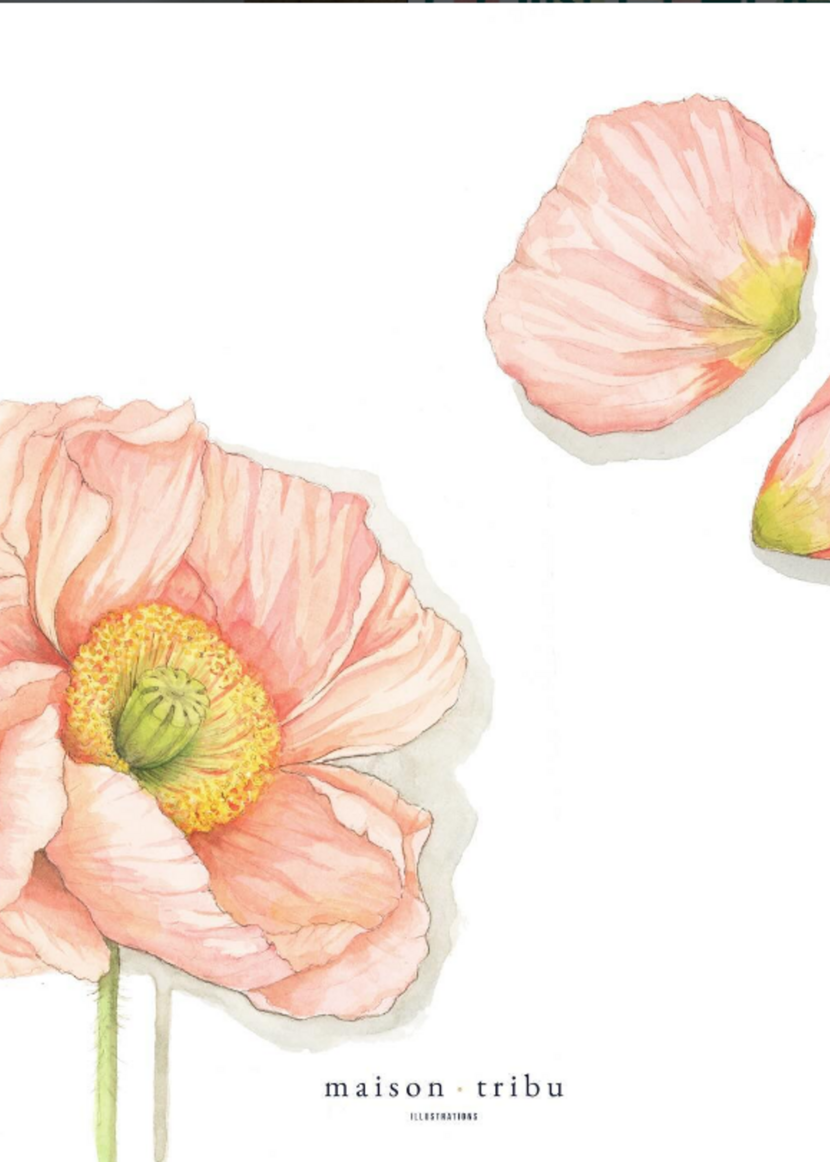 Maison Tribu Wenskaart Art All Season - Poppy Birthday Wishes