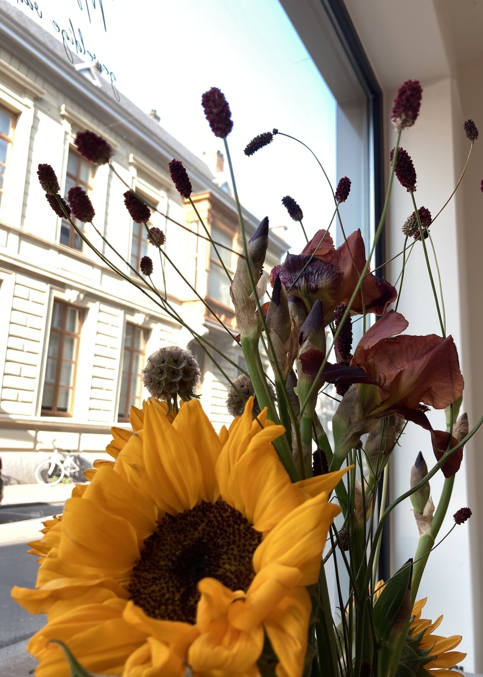 Visconti Visconti Van Gogh Irisis Vulpen