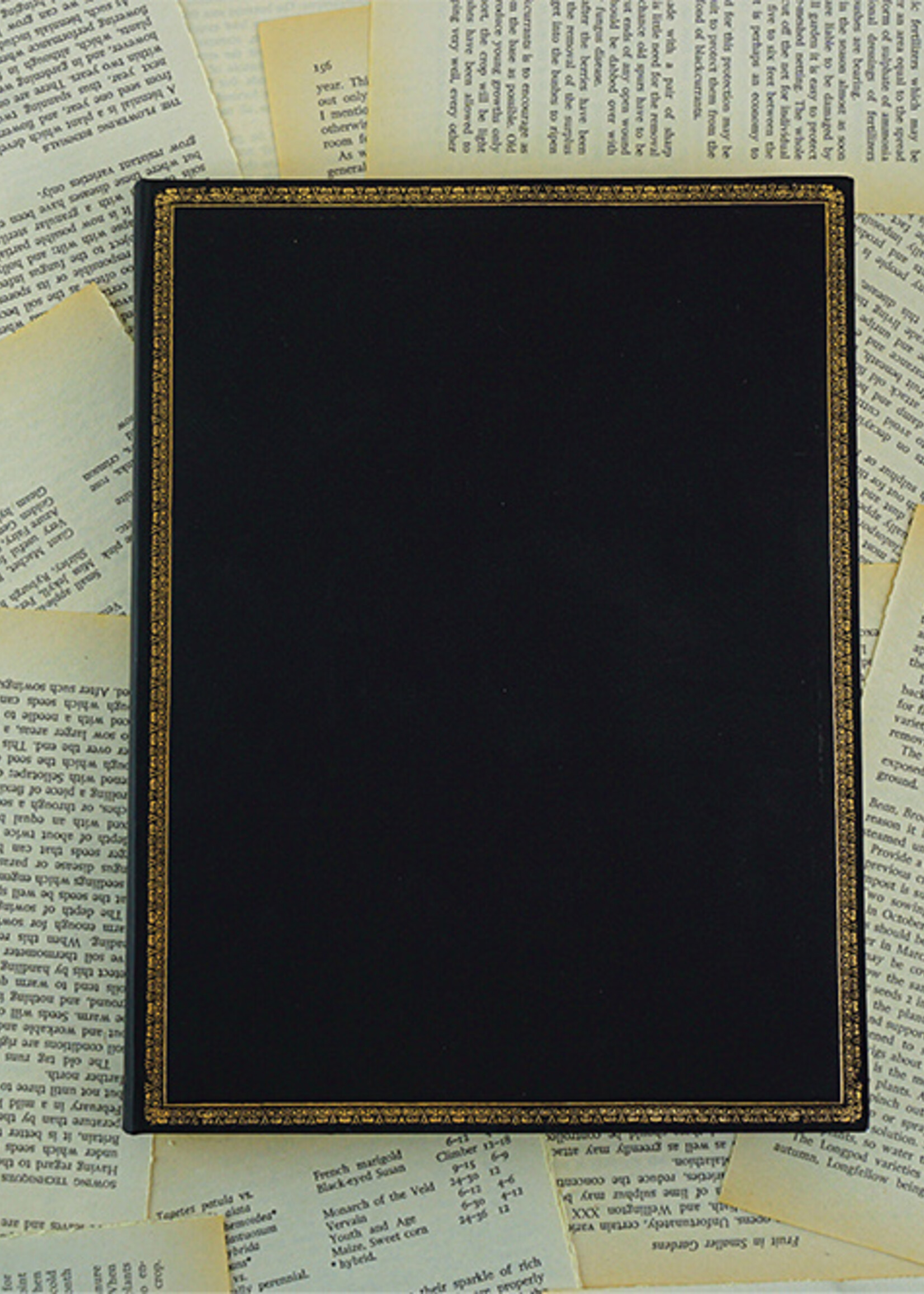 Paperblanks Grande A4 Gelijnd Black Edition