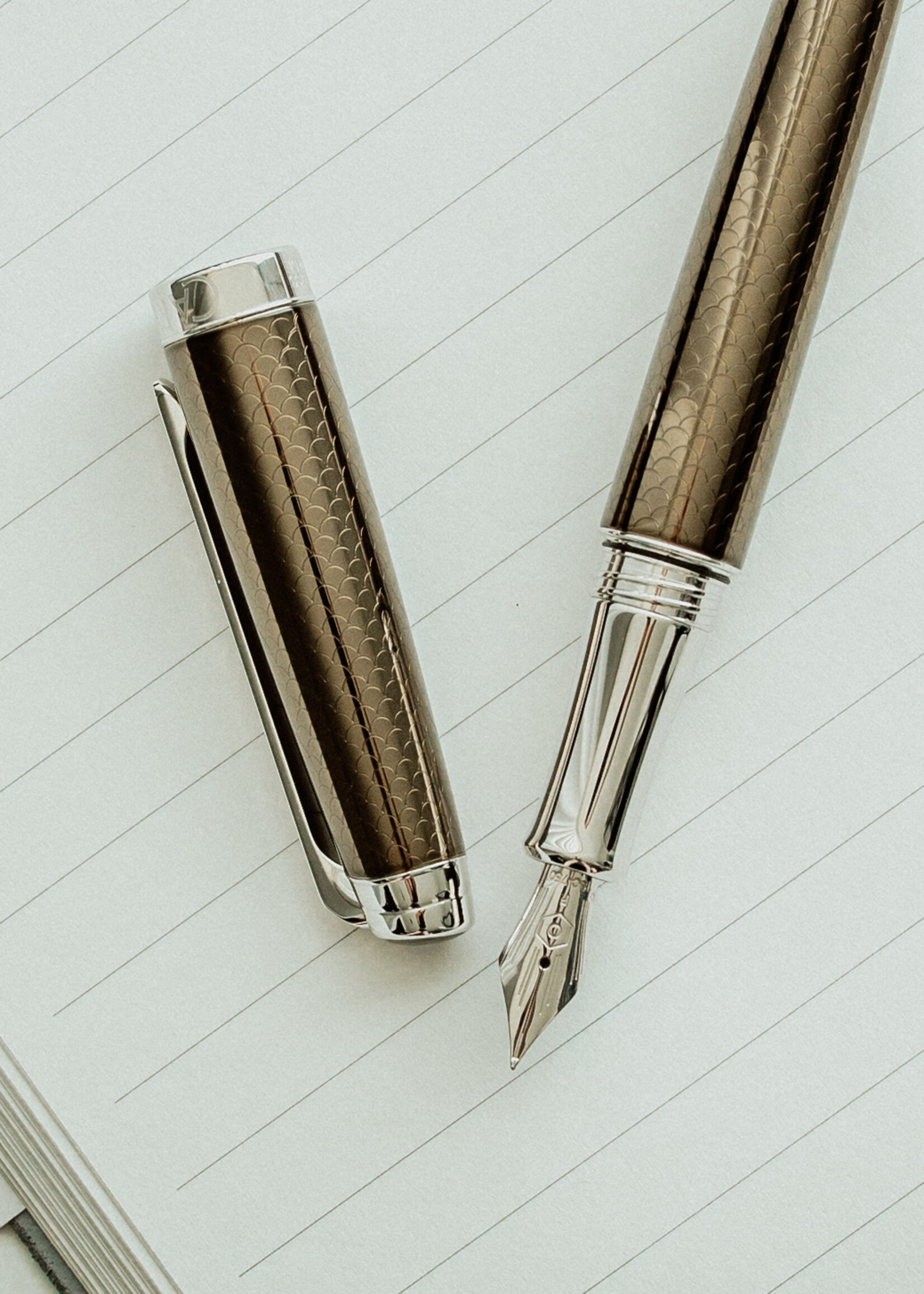 Caran d'Ache Léman Caviar Vulpen