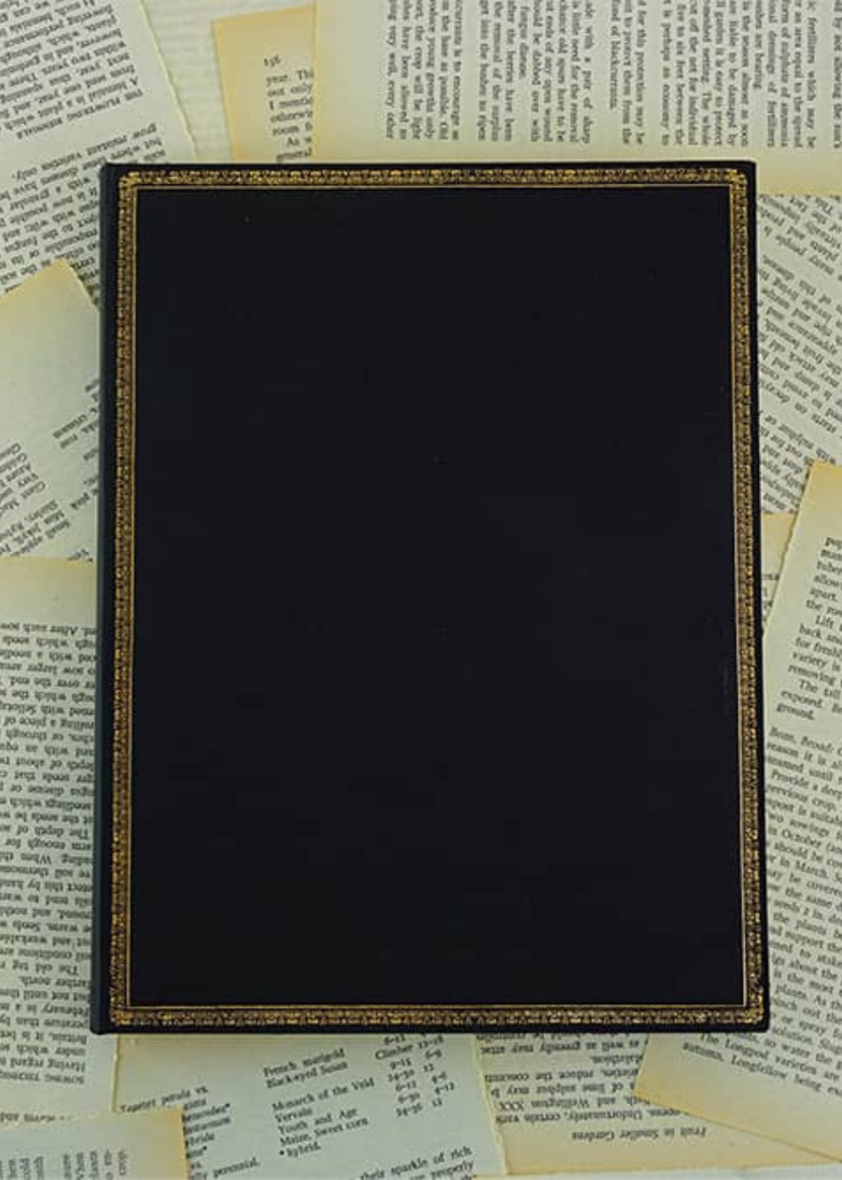 Paperblanks Agenda 2027 Maxi Week/2pag. Verticaal - Black Edition
