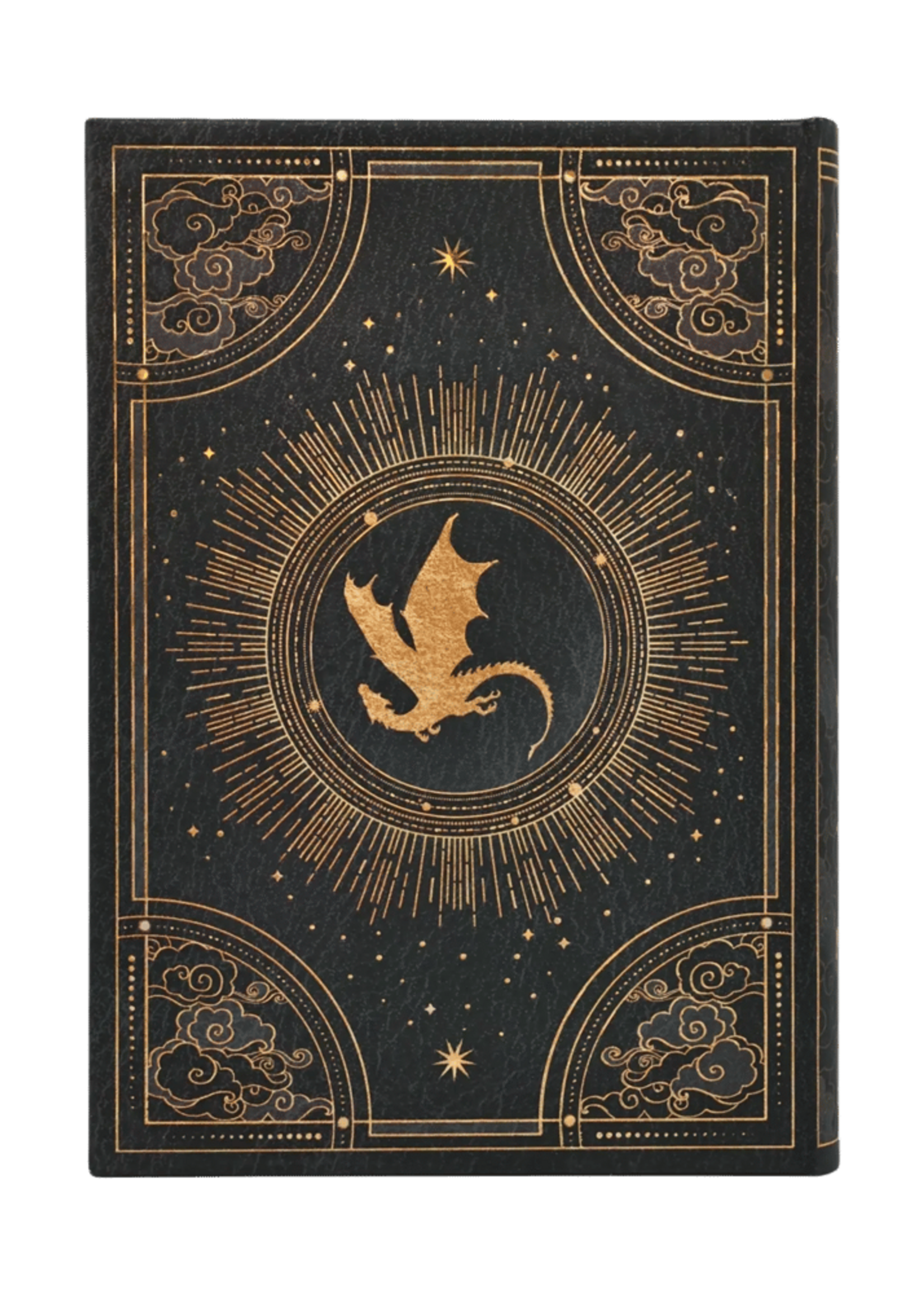 Paperblanks Agenda 2027 Midi Dag - Shadows Of Navarre