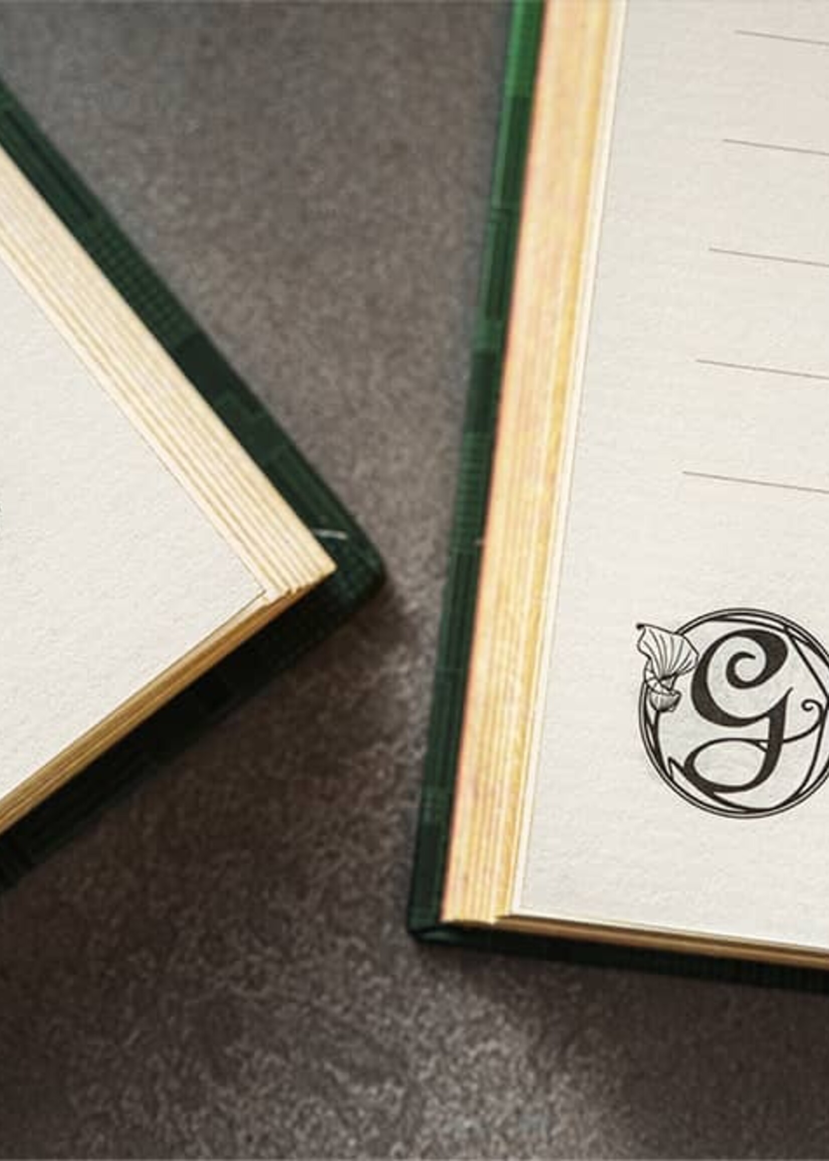 Paperblanks Agenda 2027 Mini Week/2pag. Horizontaal - The Magic Of Wicked