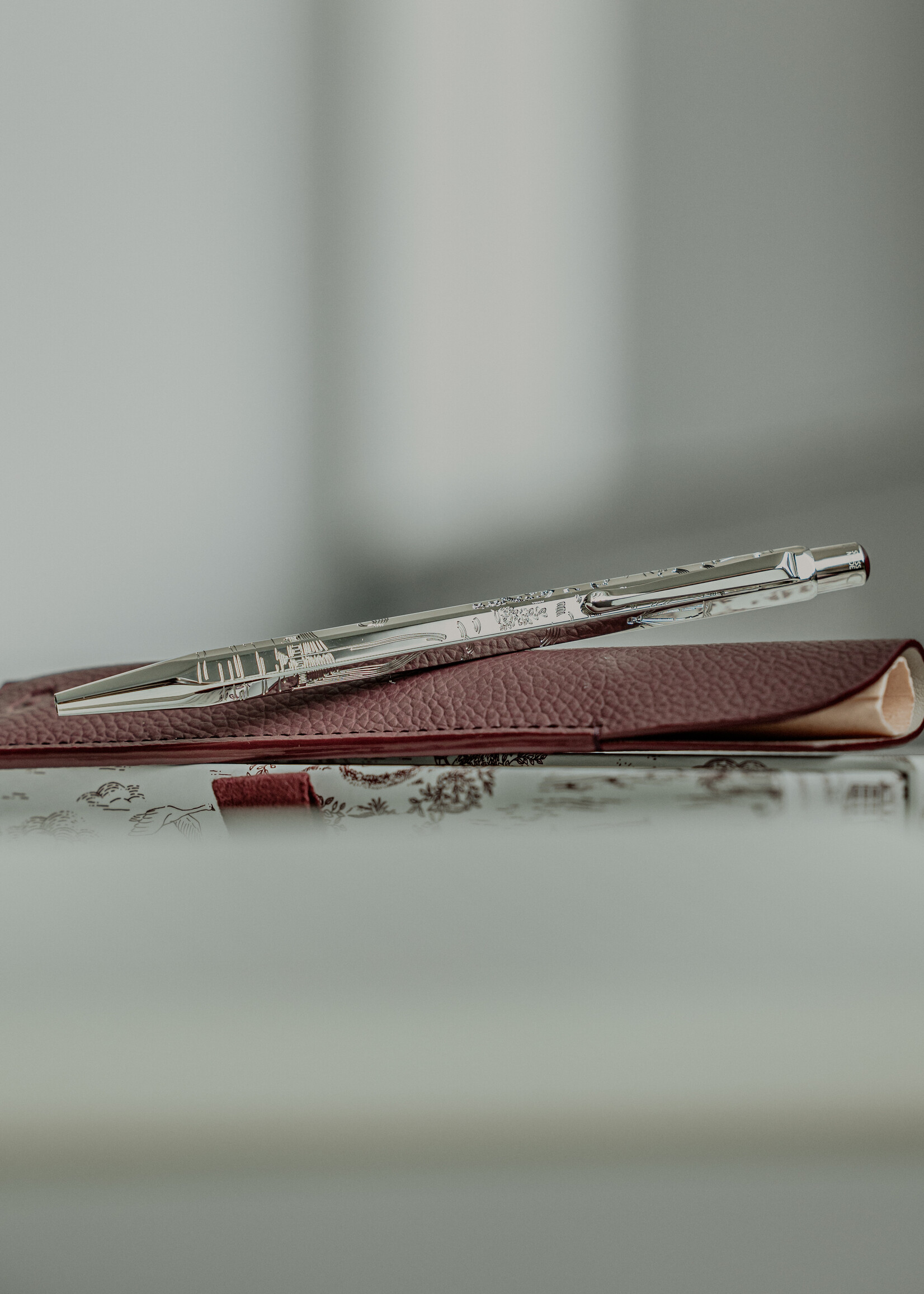 Caran d' Ache SE Ecridor Set Xmas26