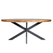 Eettafel Dalen Oval 200 Eettafel Dalen Oval 200