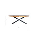 Eettafel Dalen Oval 200 Eettafel Dalen Oval 200