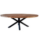Industrial Dining Oval 280x110 Industrial Dining Oval 280x110