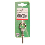 Deltafix Oogbout 8x80mm RVS