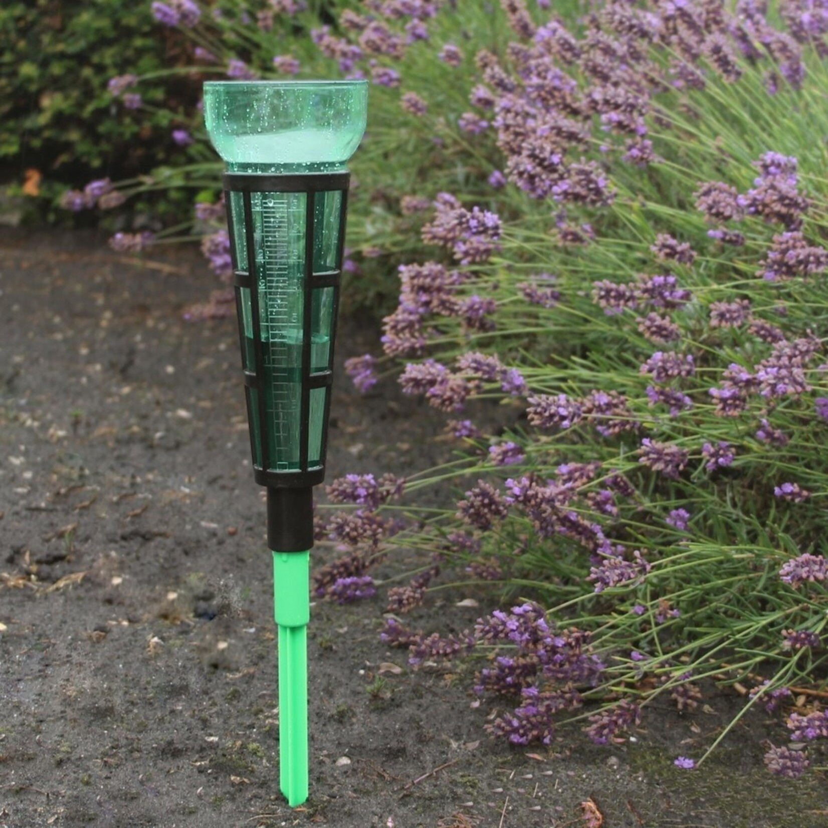 Talen Tools  Regenmeter met grondpen - 350 mm verdeelschaal