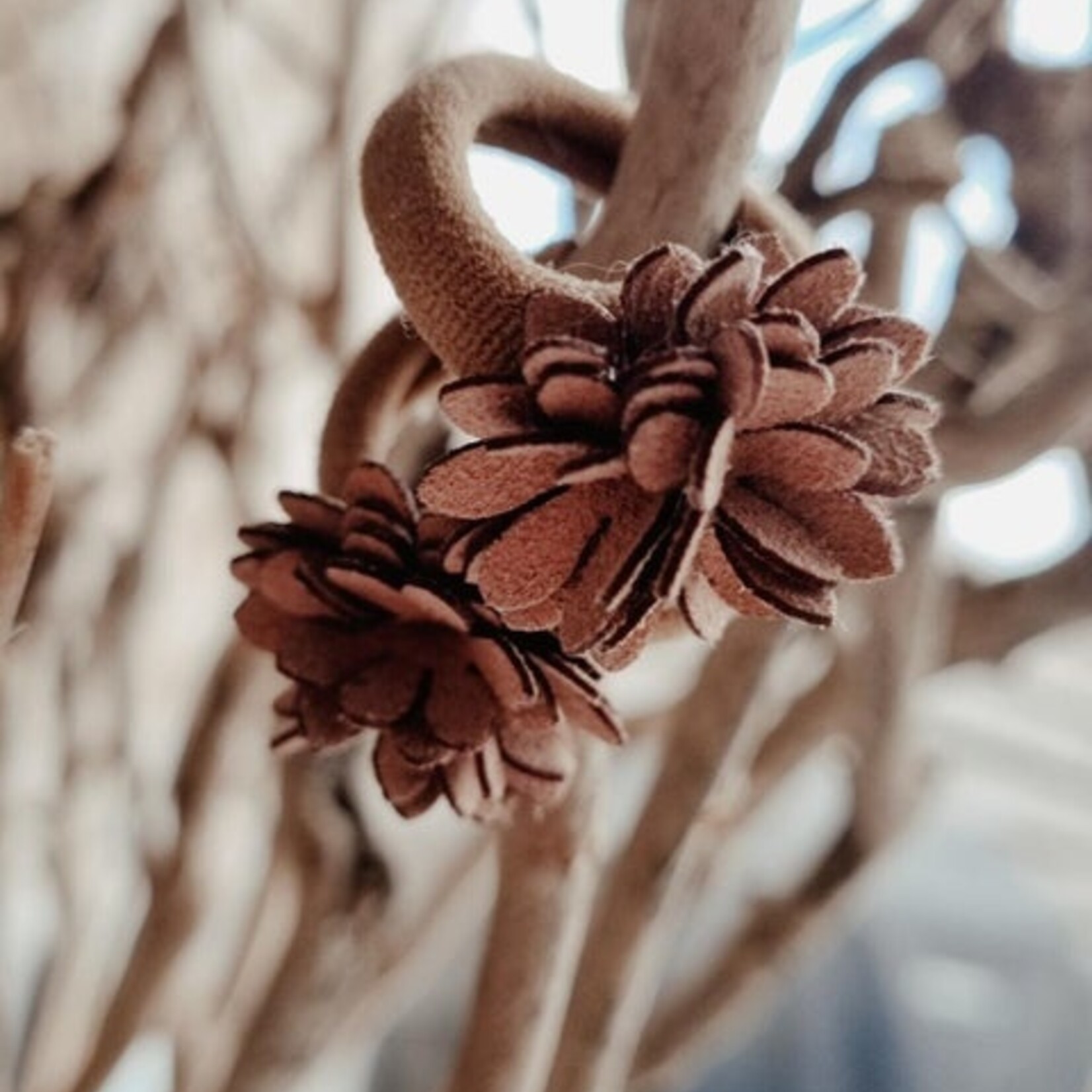 Peek-a-beau Ensemble élastique à cheveux fleur marron