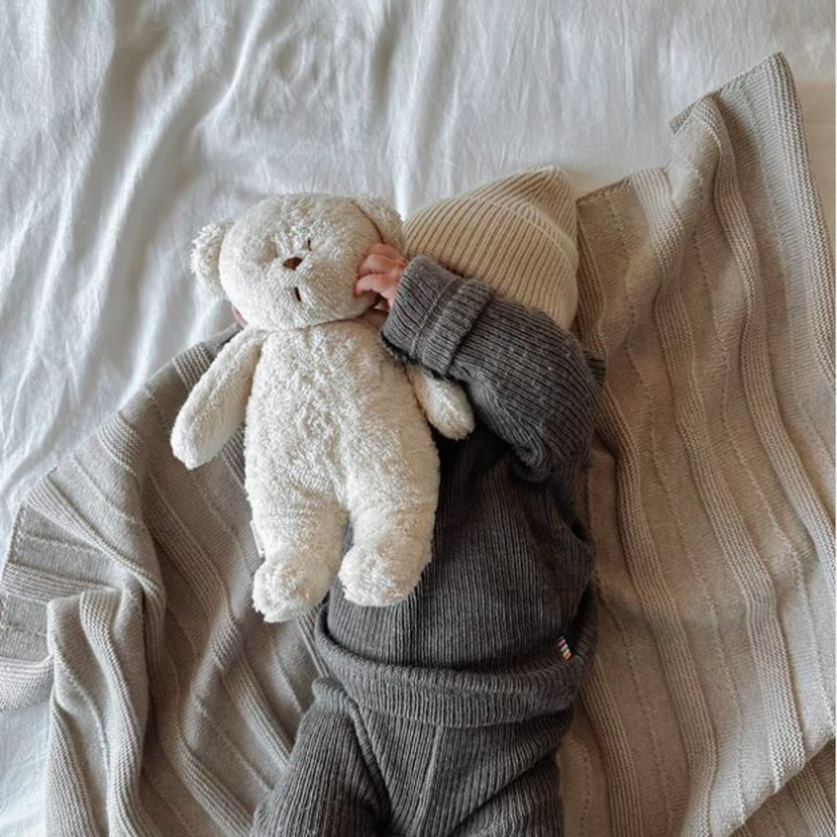 Moonie Moonie bear polar