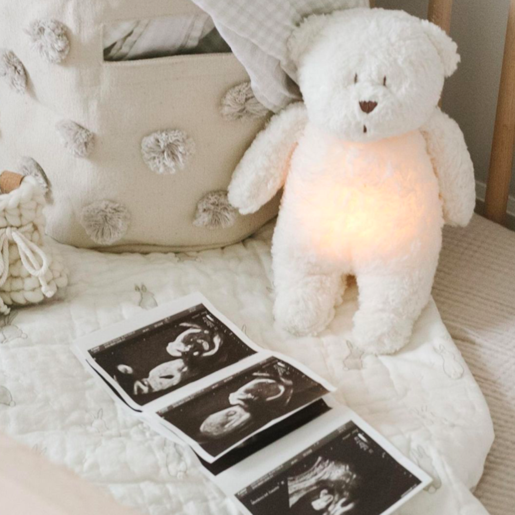 Moonie L'ours Moonie polaire