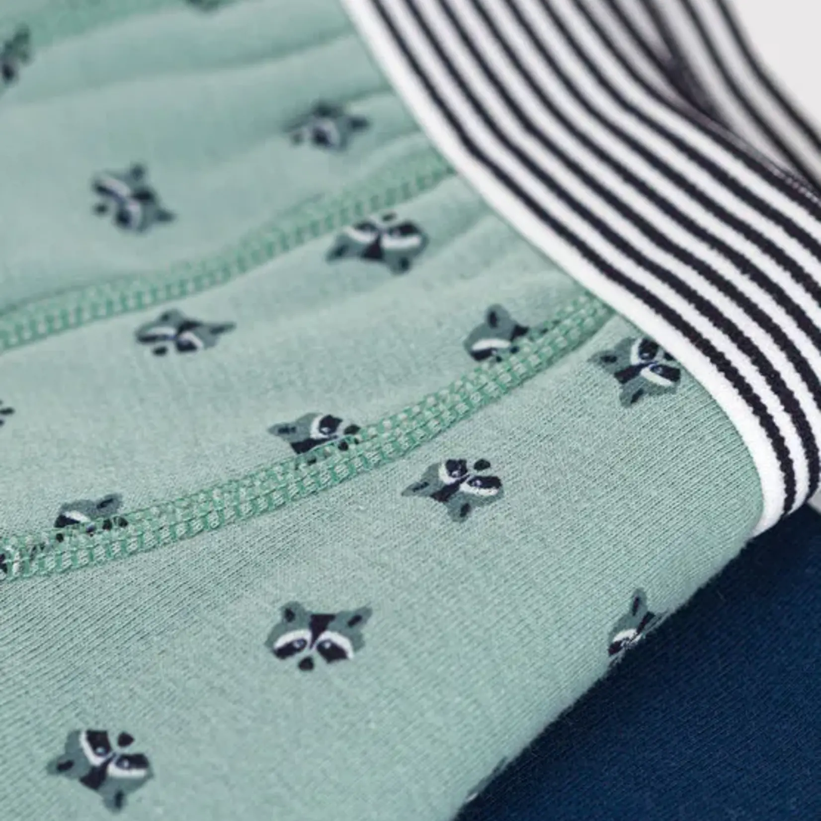 Petit Bateau Caleçon en coton 2P | raton laveur