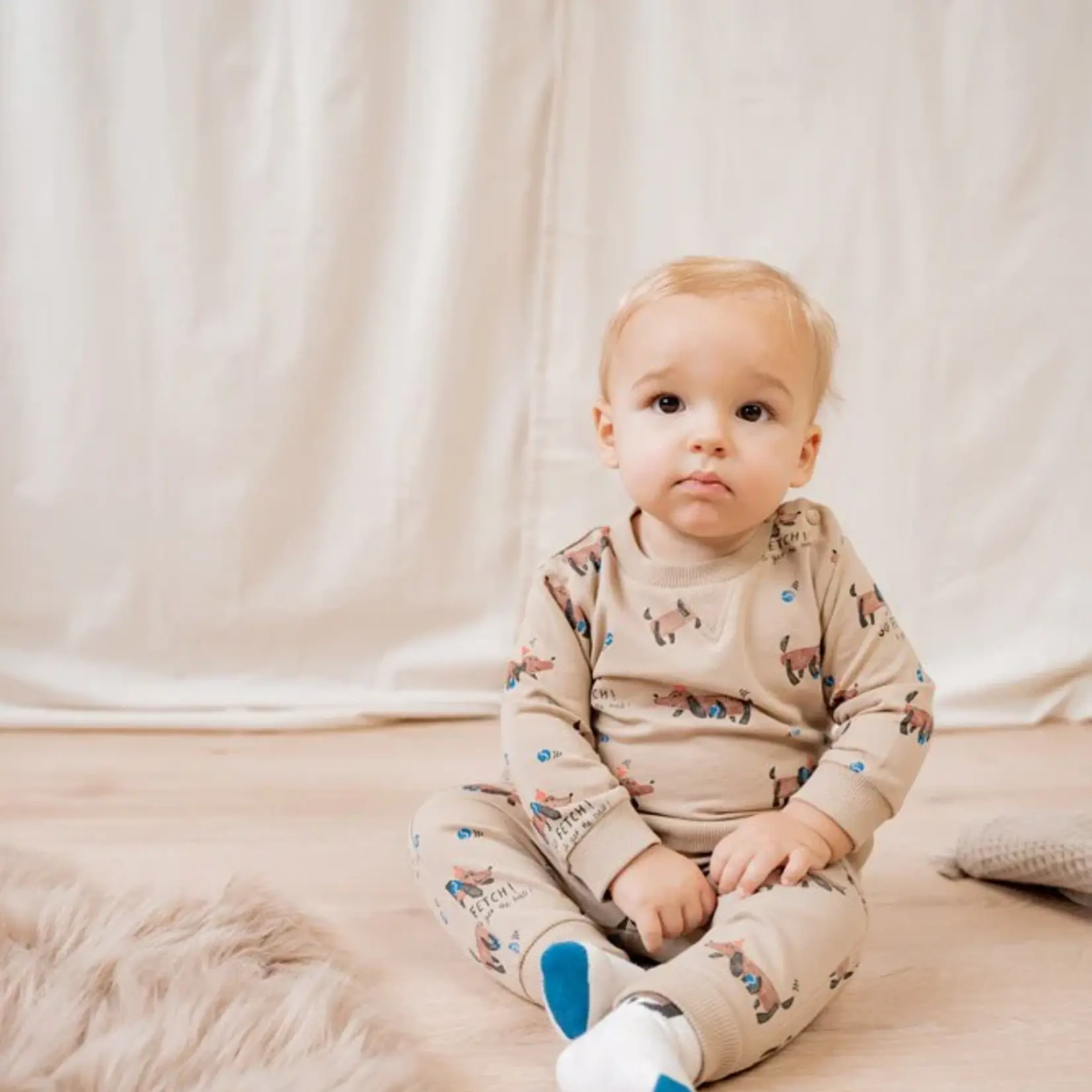 Feetje Broek go fetch teckel