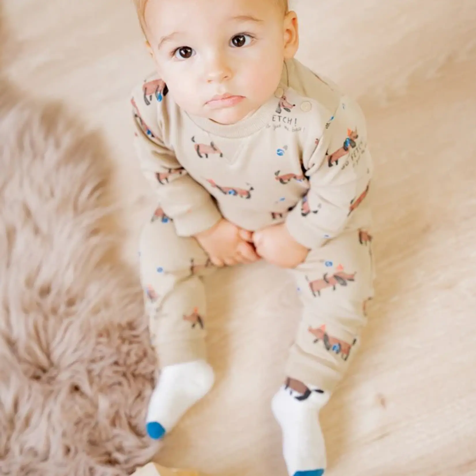 Feetje Broek go fetch teckel