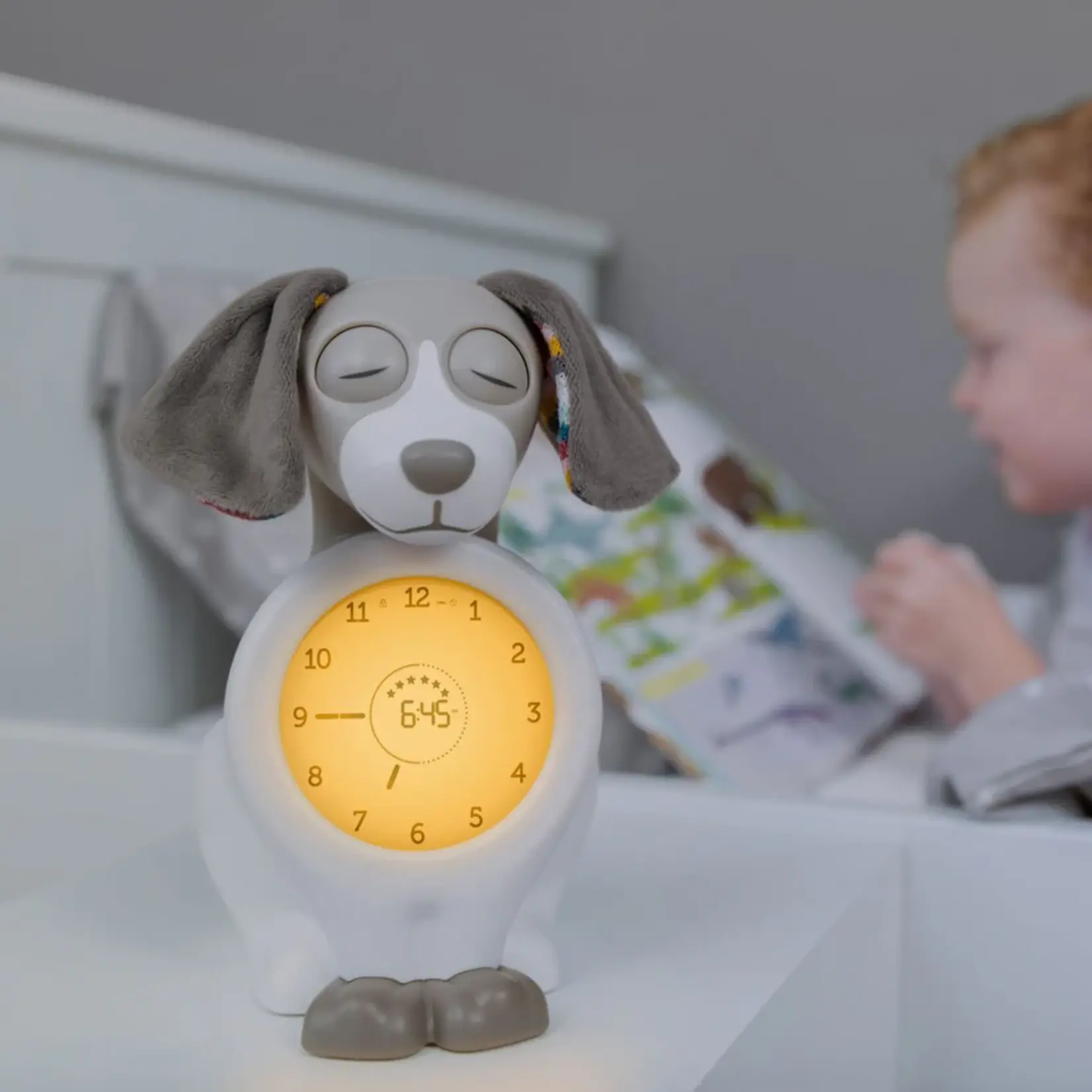 Zazu Entraîneur de sommeil chien taupe