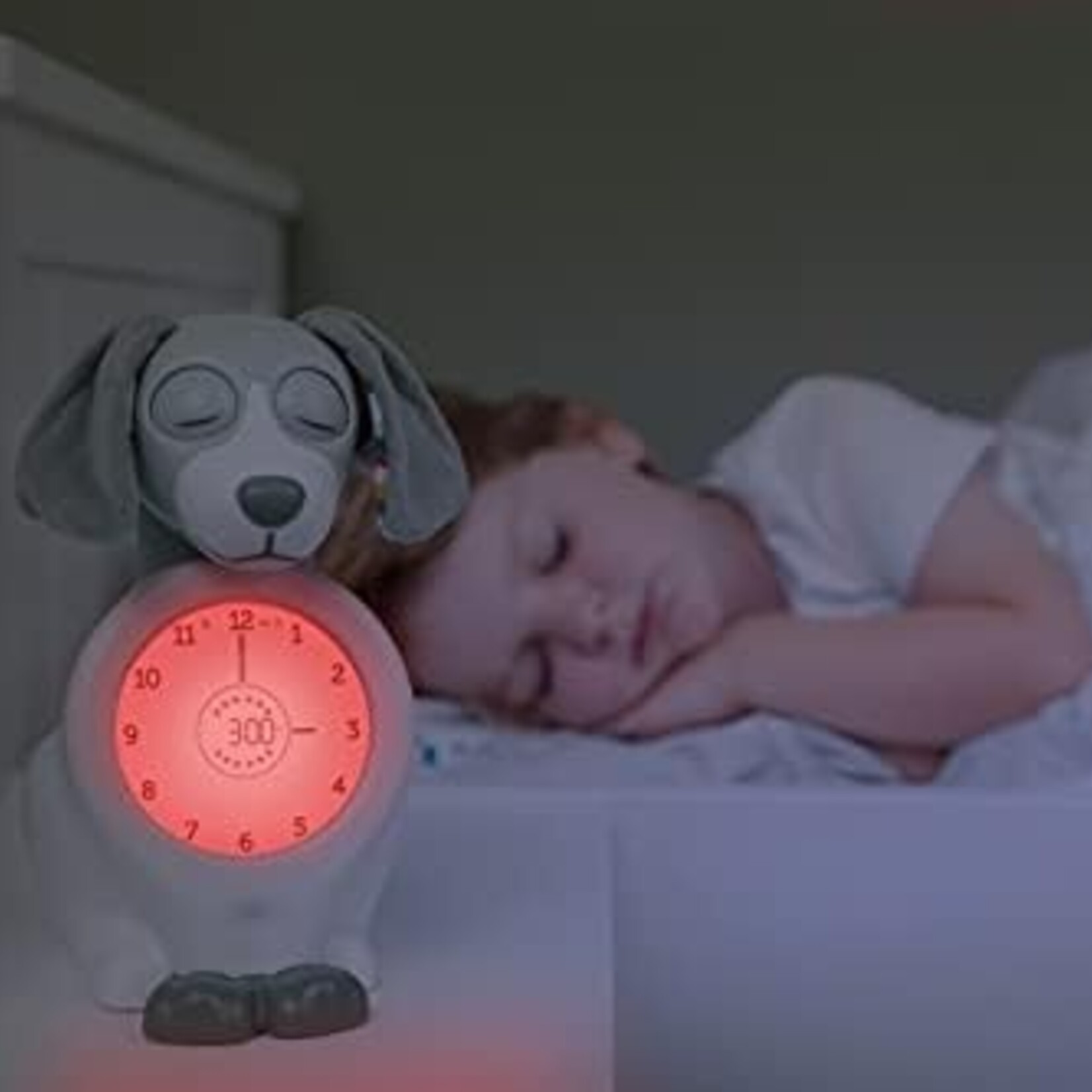 Entraîneur de sommeil chien taupe