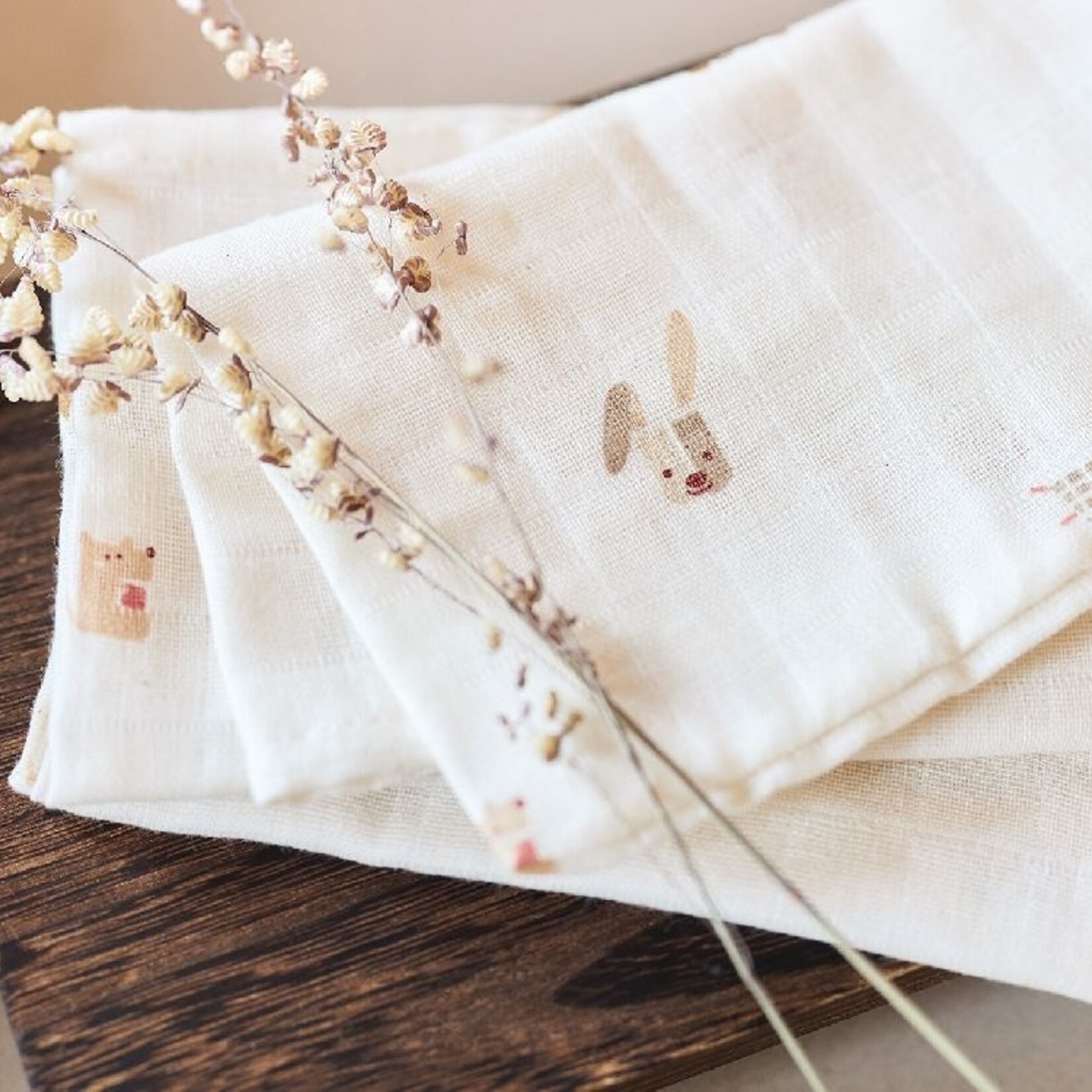 Jollein Chiffons hydrophiles multi-usages petits