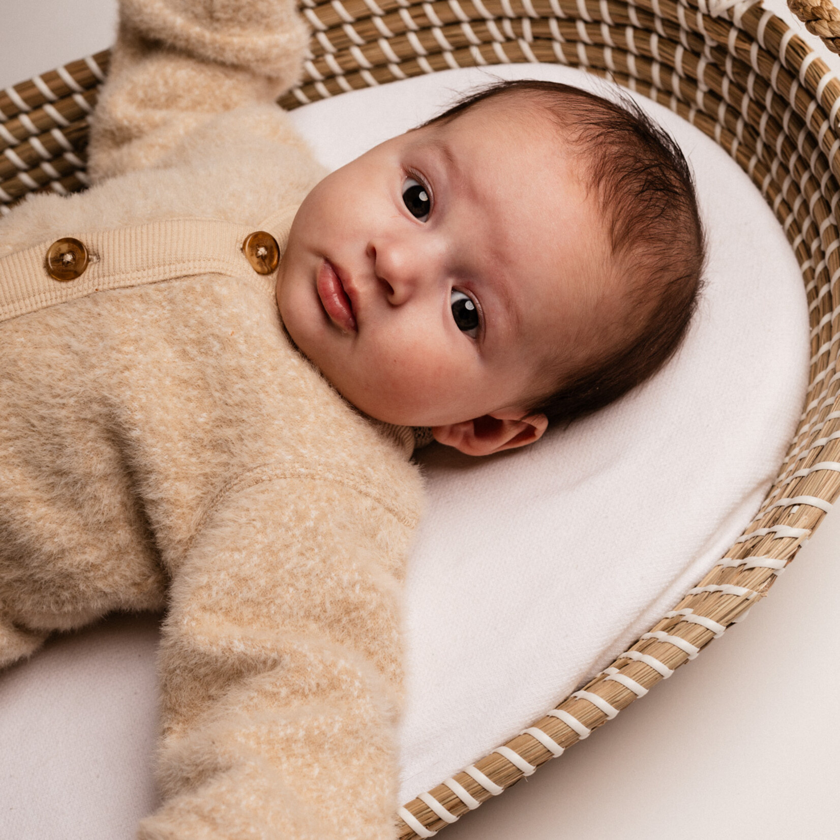 Baje Fechy babyjas   |  teddy wol