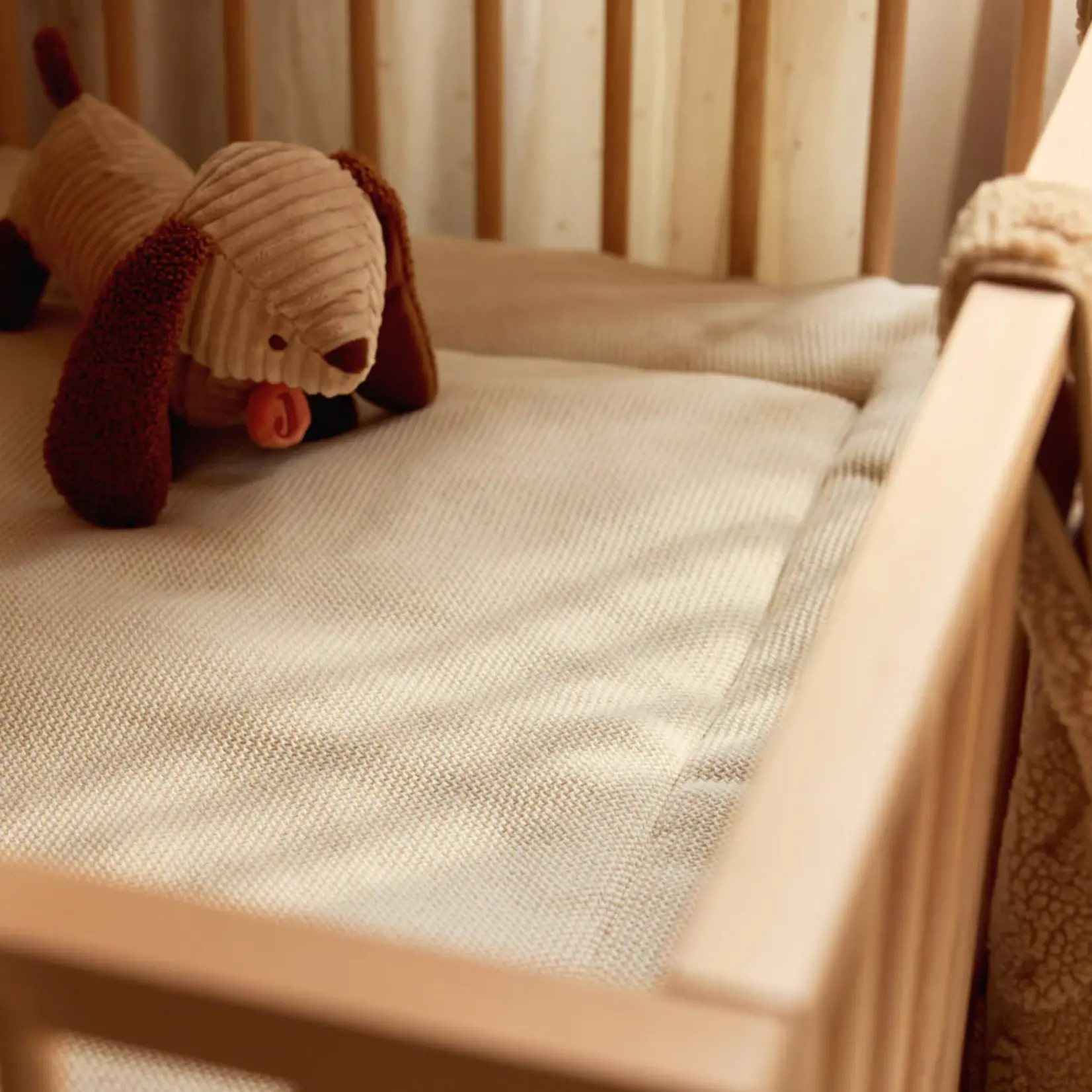 Jollein Câlin | chien Diego