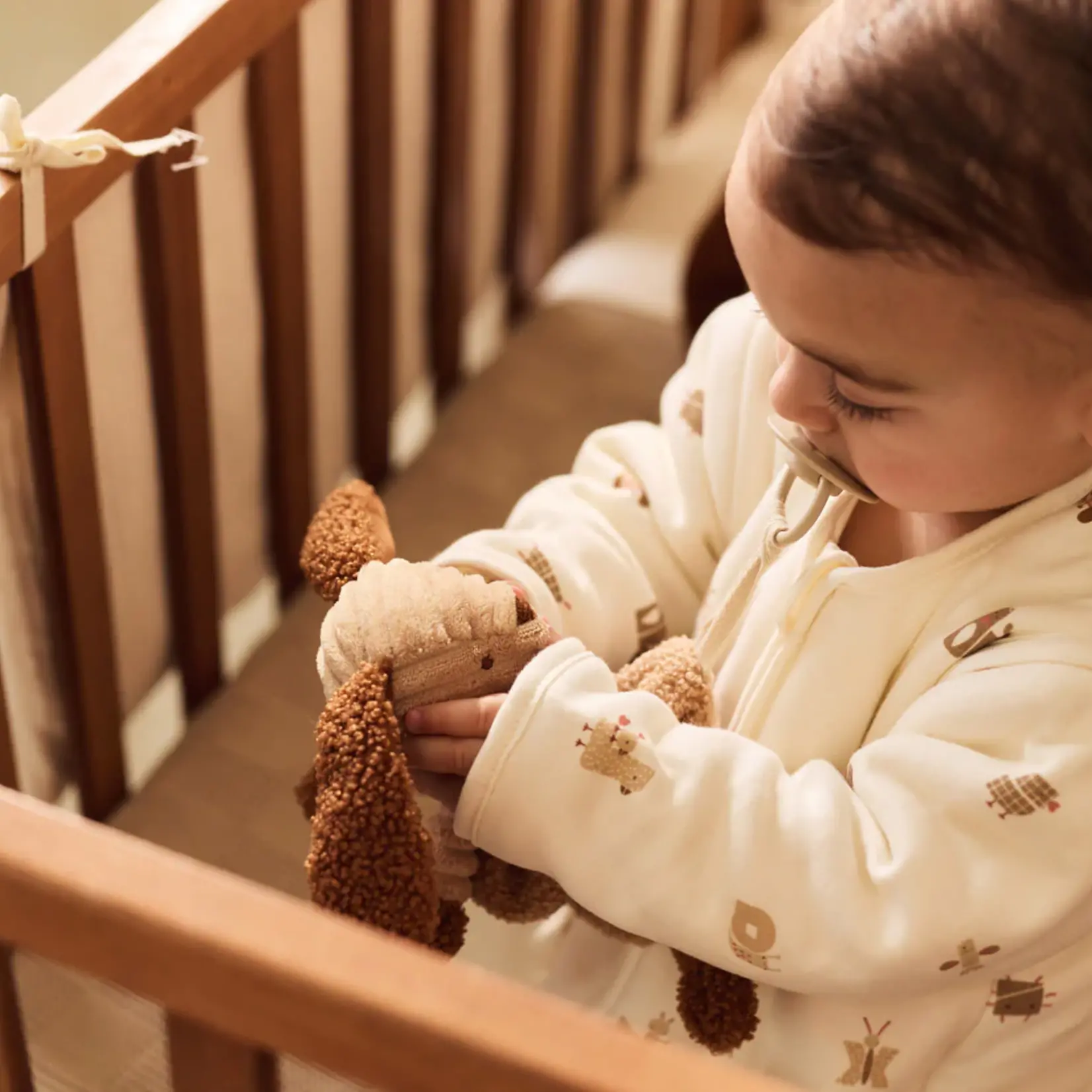 Jollein Pacifier cloth | dog Diego