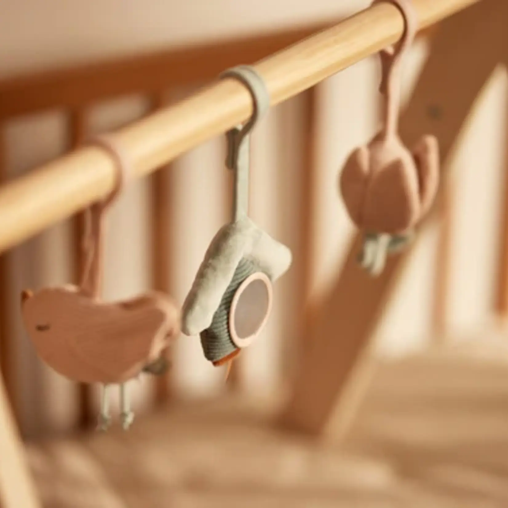 Jollein Babygym toys |