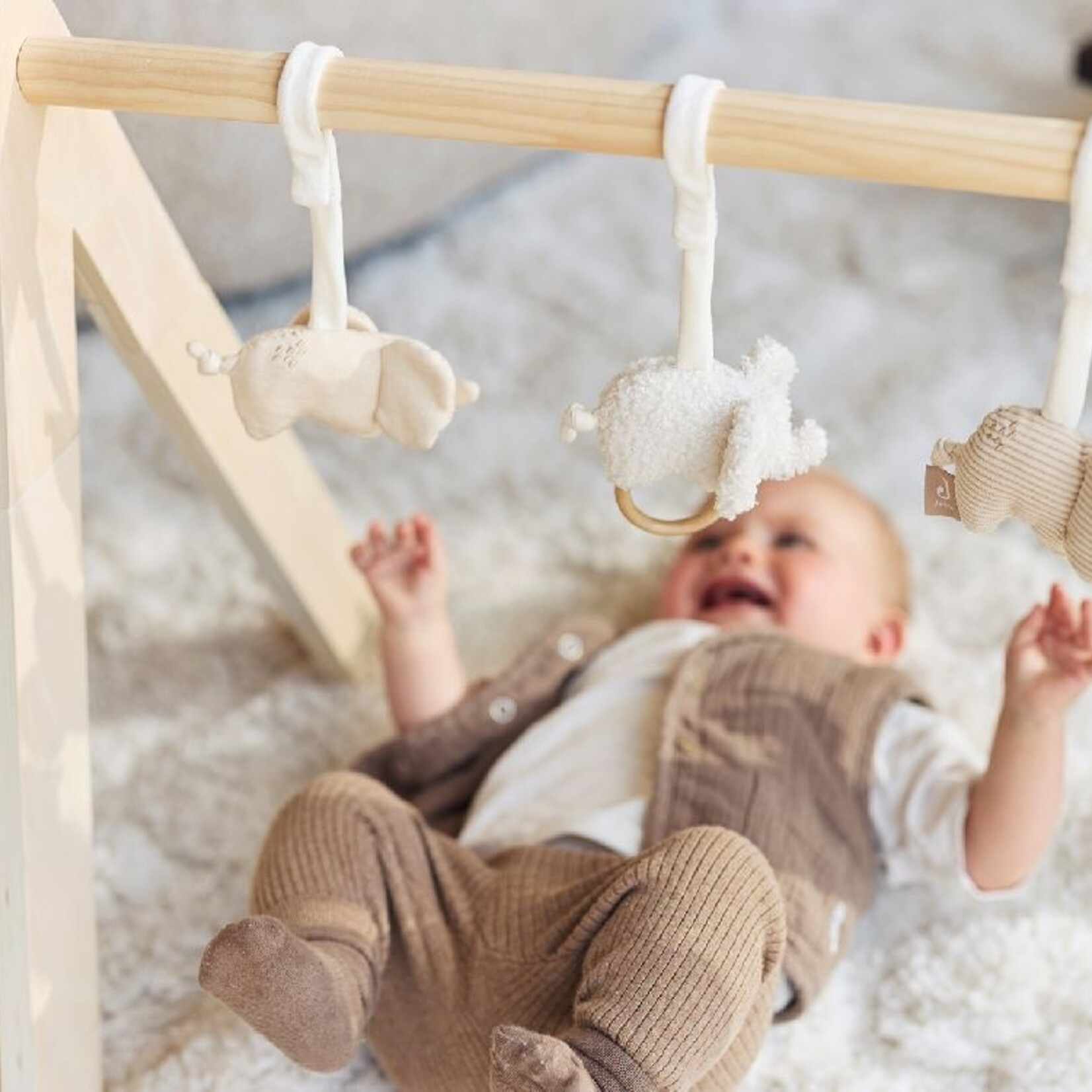 Jollein Babygym toys |