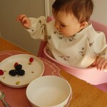 Konges Sløjd Plates set of 5