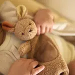 Jollein Kangaroots pacifier cloth