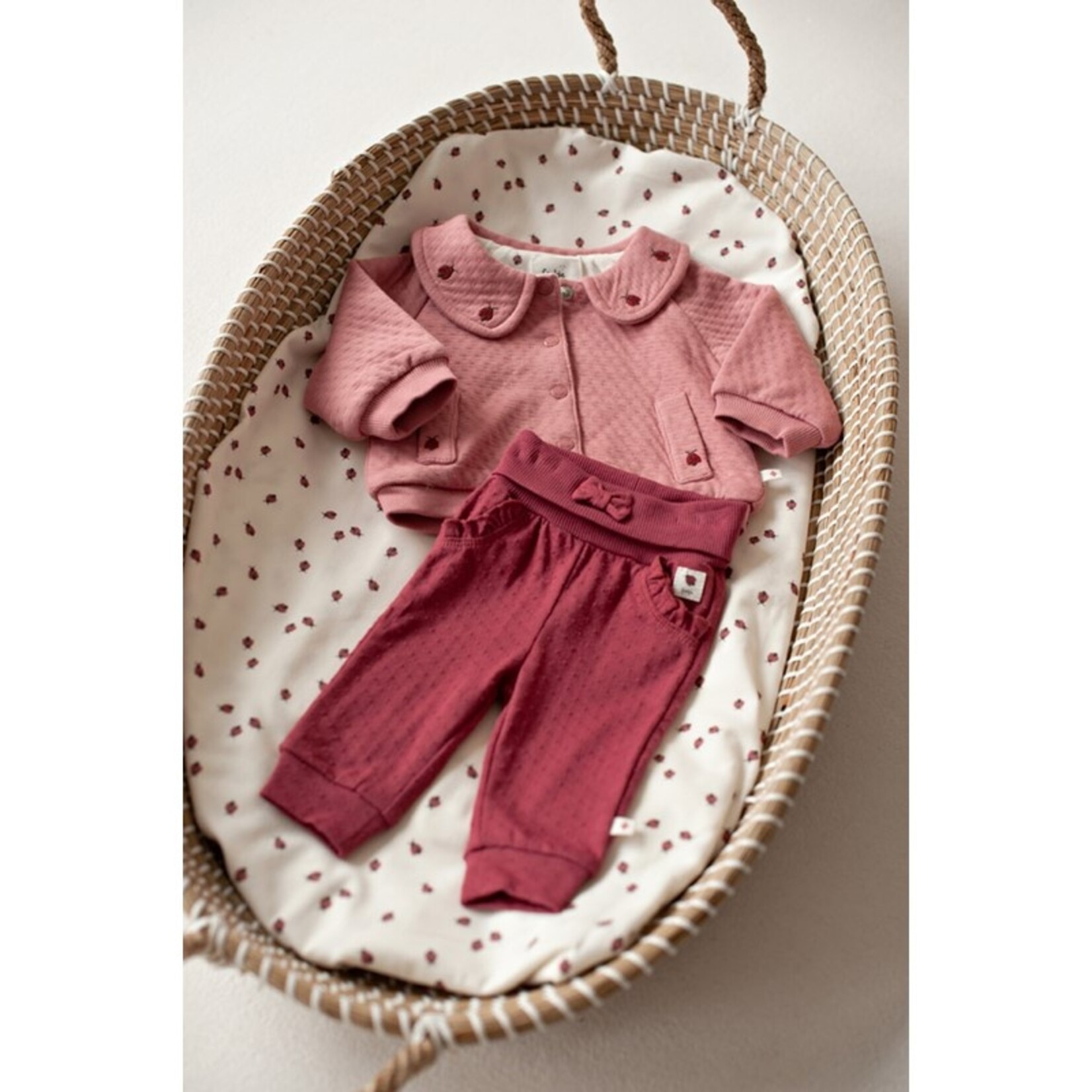 Feetje Short ajour rib | ladybug