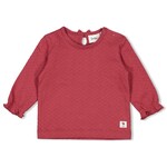 Feetje Chemise à manches longues | coccinelle