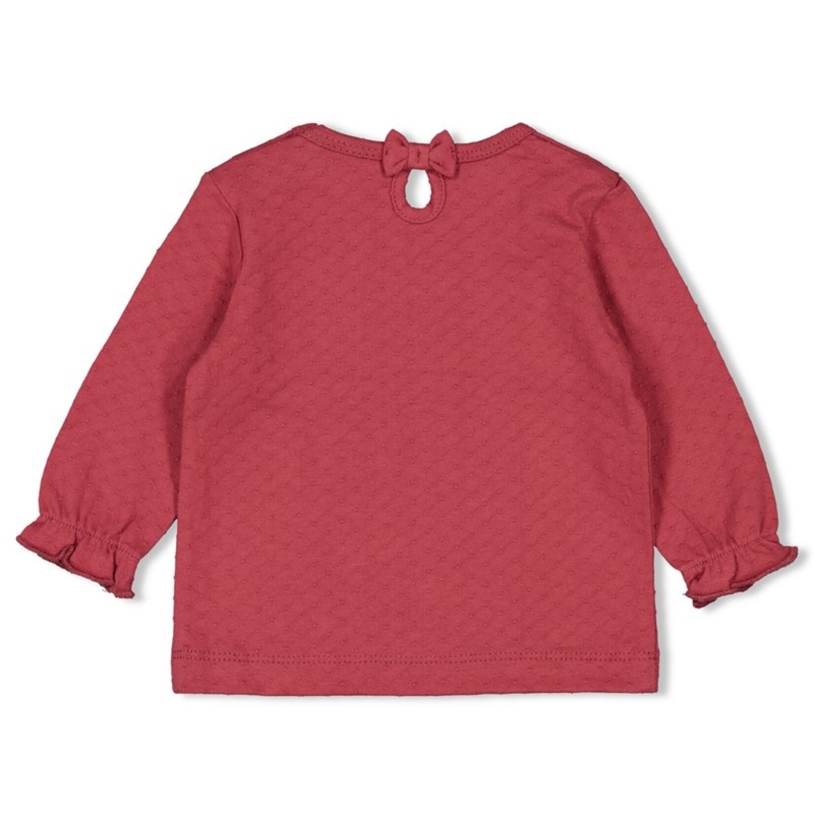 Feetje Longsleeve shirt | ladybug