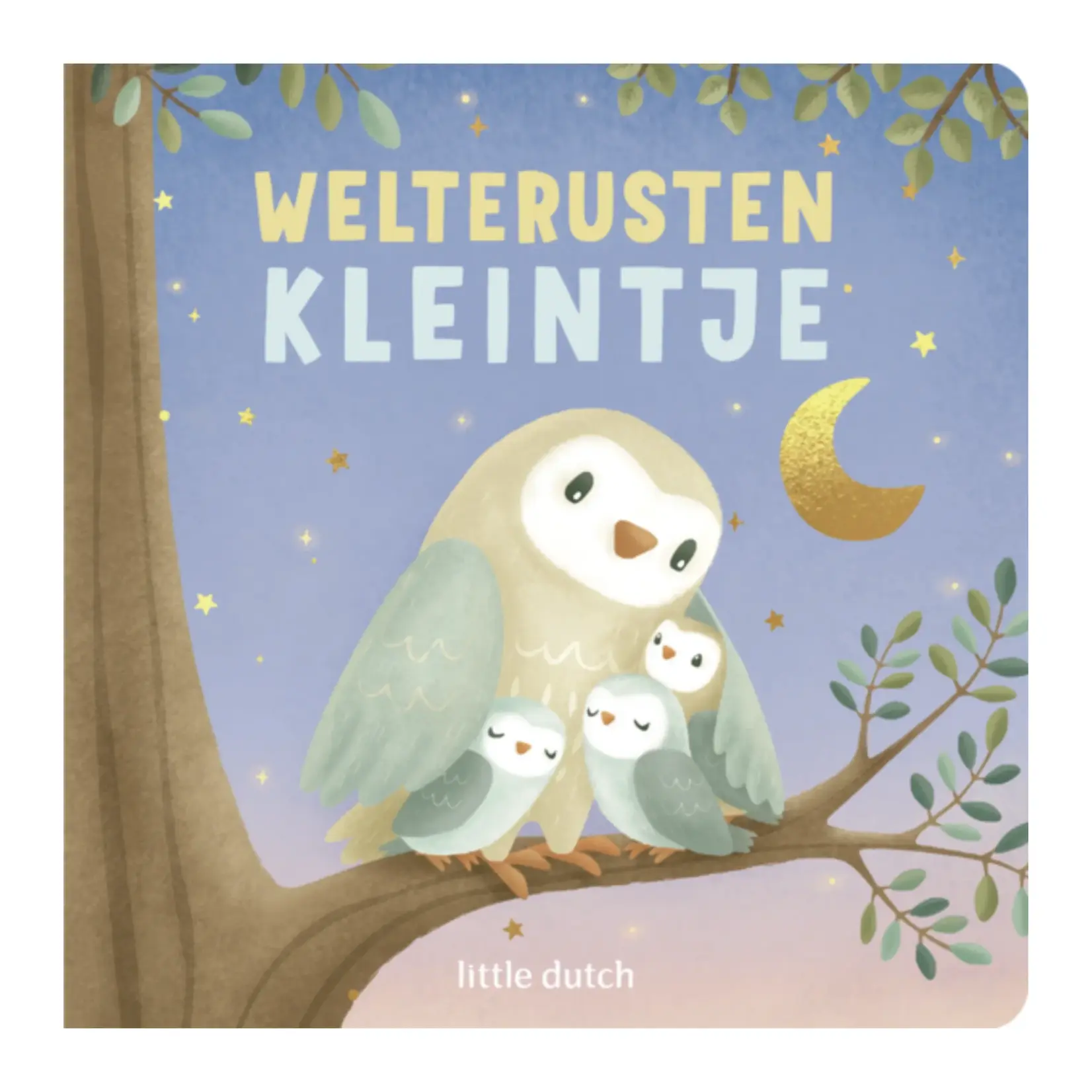 Little Dutch Little book, goodnight little angel
