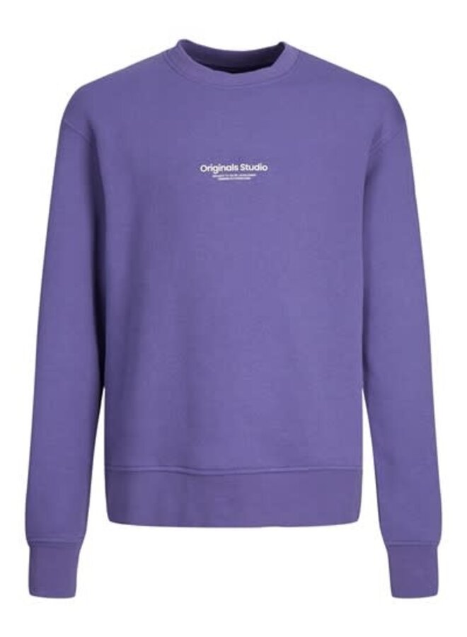 JORVESTERBRO SWEAT CREW NECK SN JNR