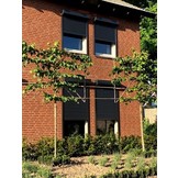 Alutech Basisline Rolluik