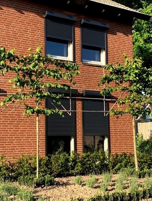 Alutech Somfy Rolluik