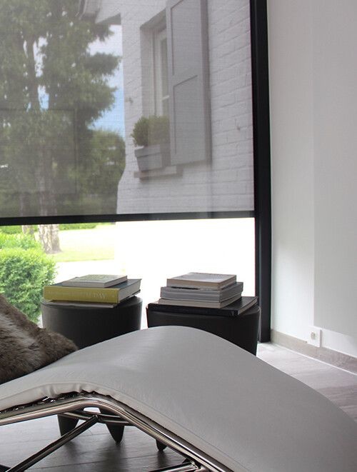 Somfy windvaste screen