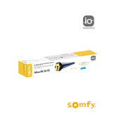Somfy Altus RS 50 IO motor