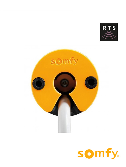 Somfy Altus 40 RTS motor